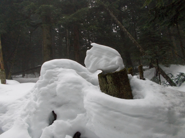 Snow Formations on the Hike